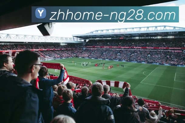 南宫体育官网APP 体育赛事宣传图